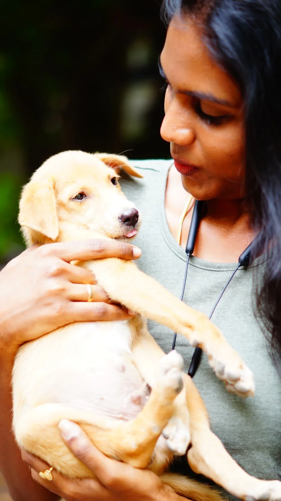 A staff member holding a golden puppy