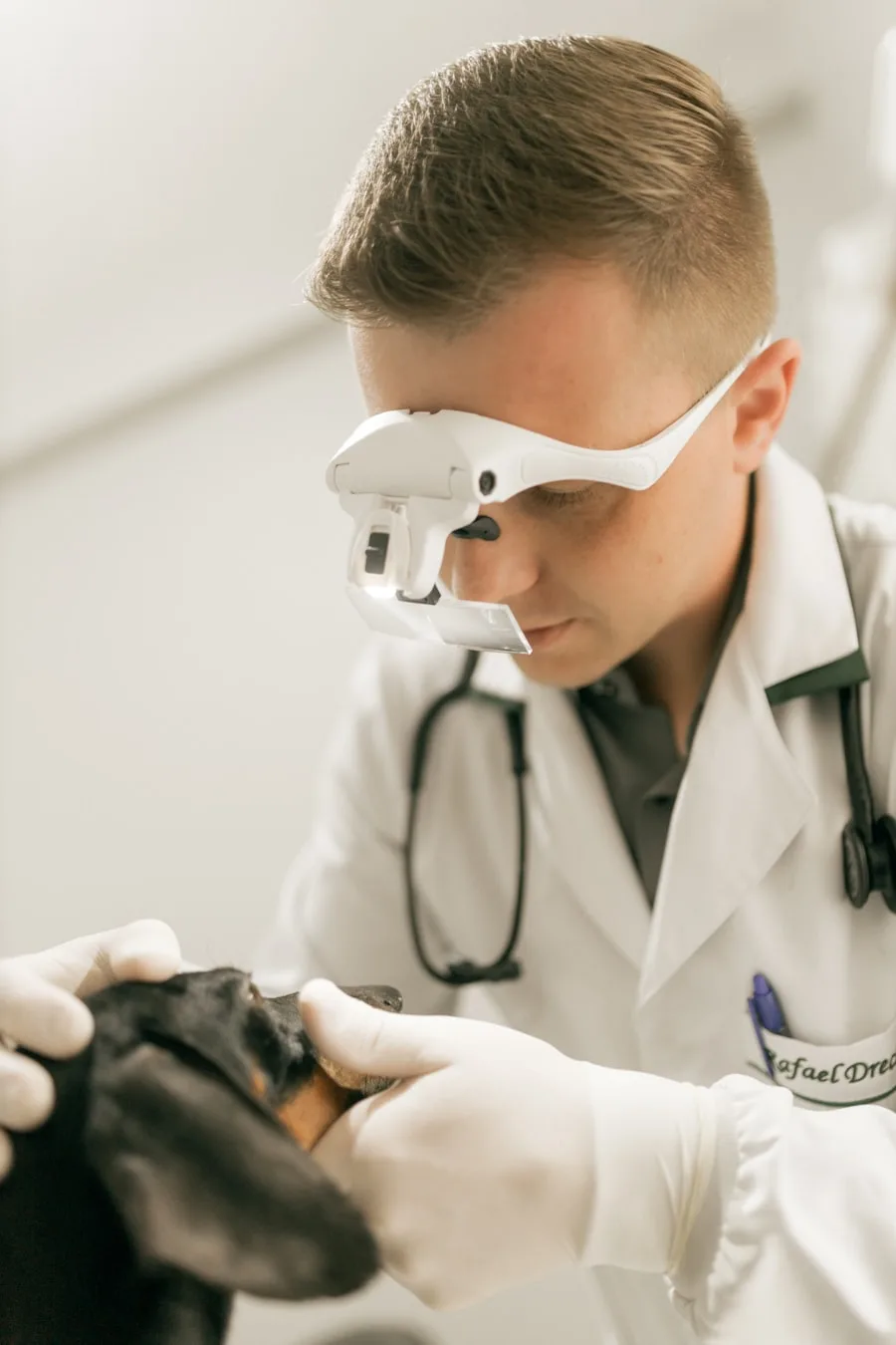 About Rowan Veterinary Clinic